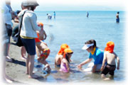 海見学