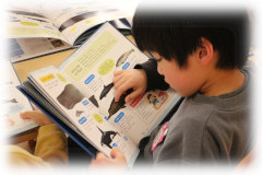 20250203_12.jpg 20250203_12.jpg