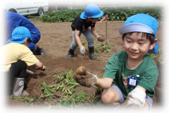 20251027_12.jpg 20251027_12.jpg